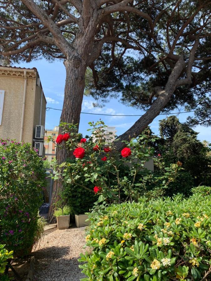 Hotel Beau Rivage Le Lavandou Εξωτερικό φωτογραφία